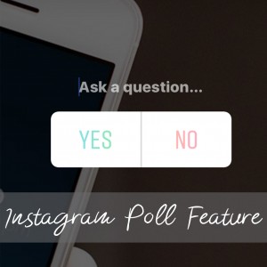 Spark Boutik Inc Instagram New Poll Feature