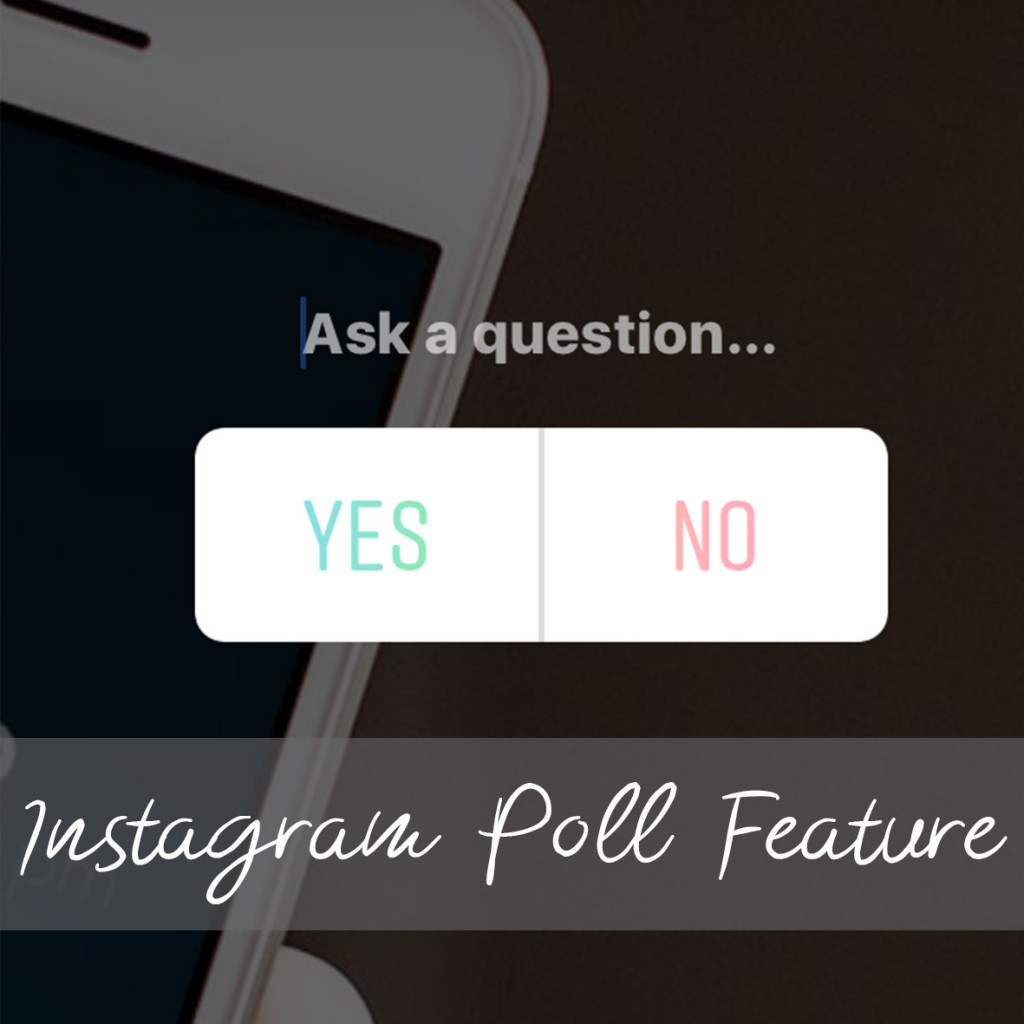 Spark Boutik Inc Instagram New Poll Feature